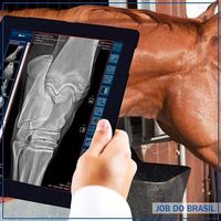 Aparelho de raio x digital veterinário