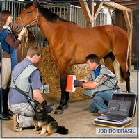 Equipamento digital de raio x preço