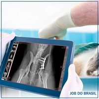Máquina de raio x veterinário